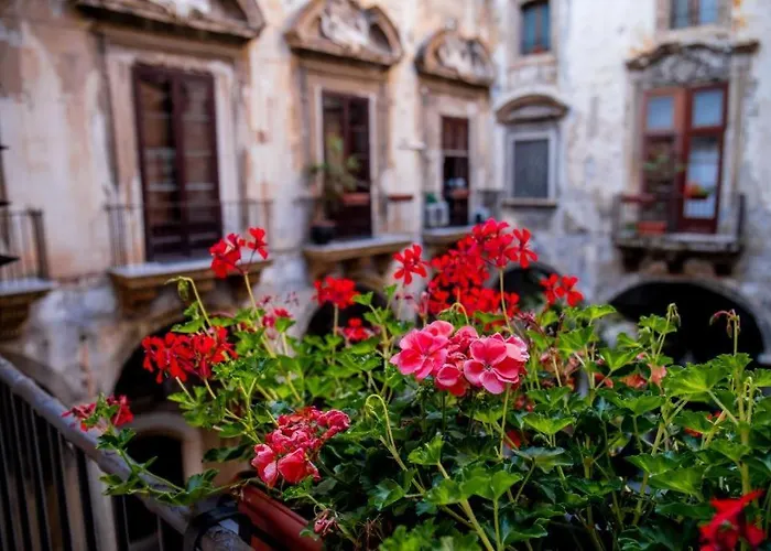 Hotel adatto agli animali: Ballaro' Hotel - Budget Room